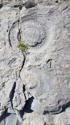 Photo prise liée au parcours