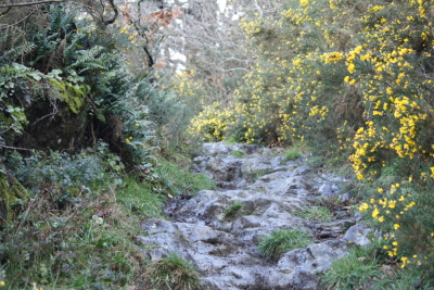 Photo prise liée au parcours
