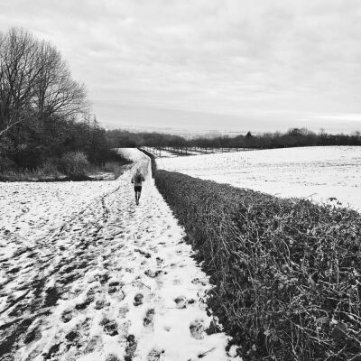 Nieuwkerke -- Kemmelberg - Heuvelland - Photo 2