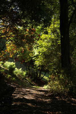 La Fauconnière (vert 1) - Cherbourg-en-Cotentin - Photo 3