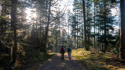 Oberhaslach - Château du Nideck - Oberhaslach - Photo 7