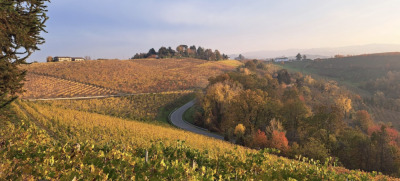 1  Sinio - Mombarcaro 2026 - Sinio - Photo 5