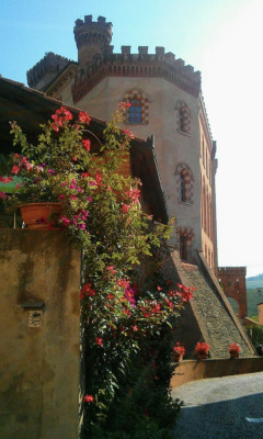 3  Pollenzo - Monforte d'Alba 2026 - Bra - Photo 5