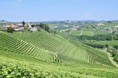 3  Pollenzo - Monforte d'Alba 2026 - Bra - Photo 7