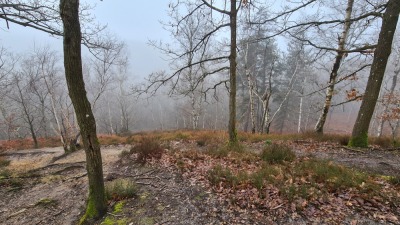 Balade du 05/02/2025