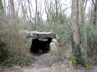 2025-02-09 Boinveau - Boissy le Cutté - Bouray-sur-Juine - Photo 3