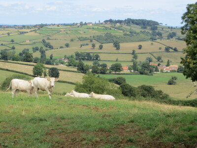 Photo prise liée au parcours