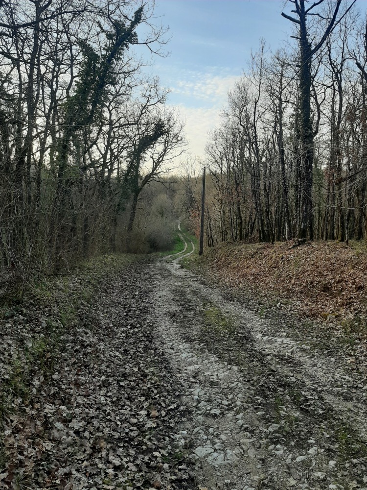 Un segment de l'ancienne voie romaine