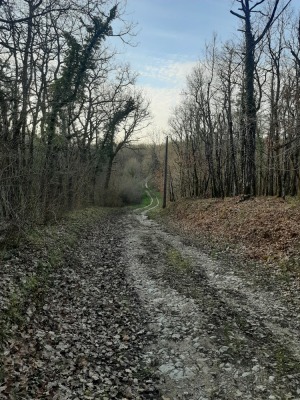Un segment de l'ancienne voie romaine
