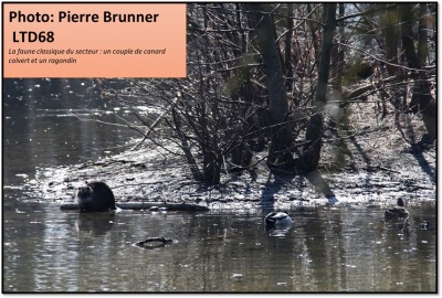 Photo prise liée au parcours