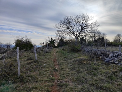 Photo prise liée au parcours