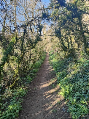 Photo prise liée au parcours