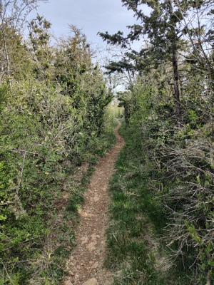 Photo prise liée au parcours