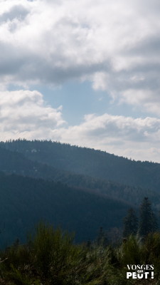 Urbeis - Col de la Hingrie - Urbeis - Photo 8