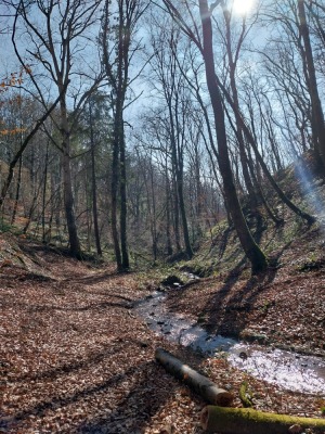 Photo prise liée au parcours