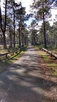 Photo prise liée au parcours