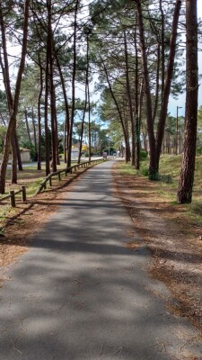 Photo prise liée au parcours