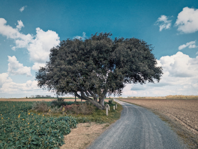 Photo prise liée au parcours