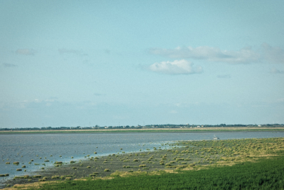 Du canal aux falaises version longue - La Rochelle - Photo 17