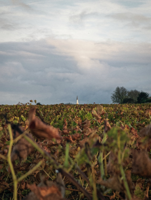 Photo prise liée au parcours