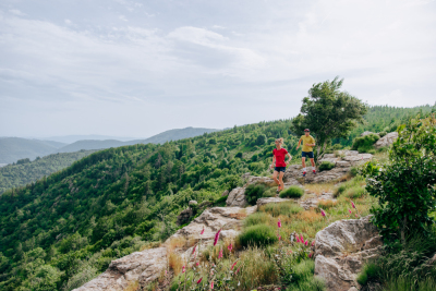La montée de Lalouvesc - Saint-Félicien - Photo 4