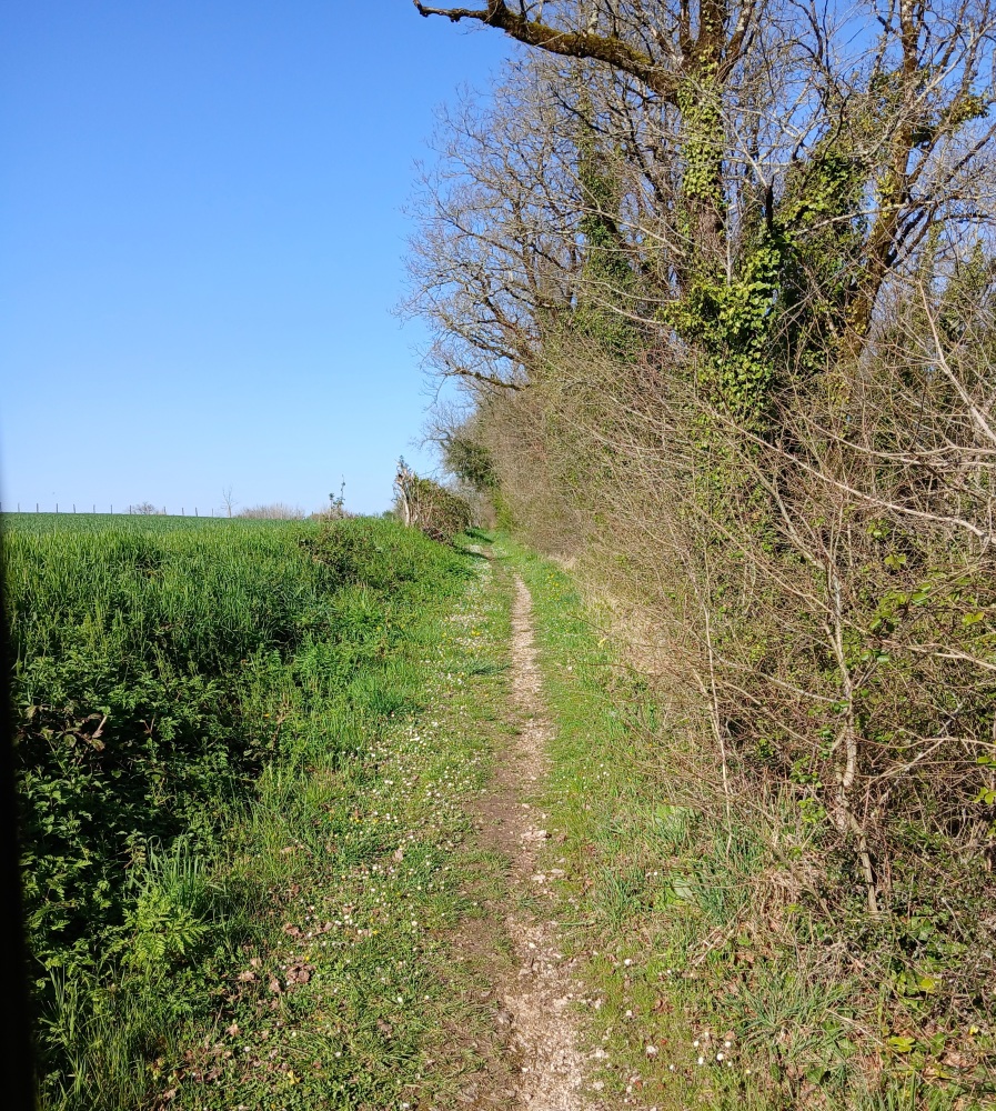 Chemin après la fontaine du Lirat.