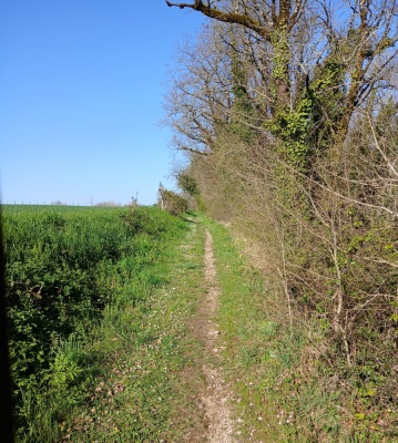 Chemin après la fontaine du Lirat.