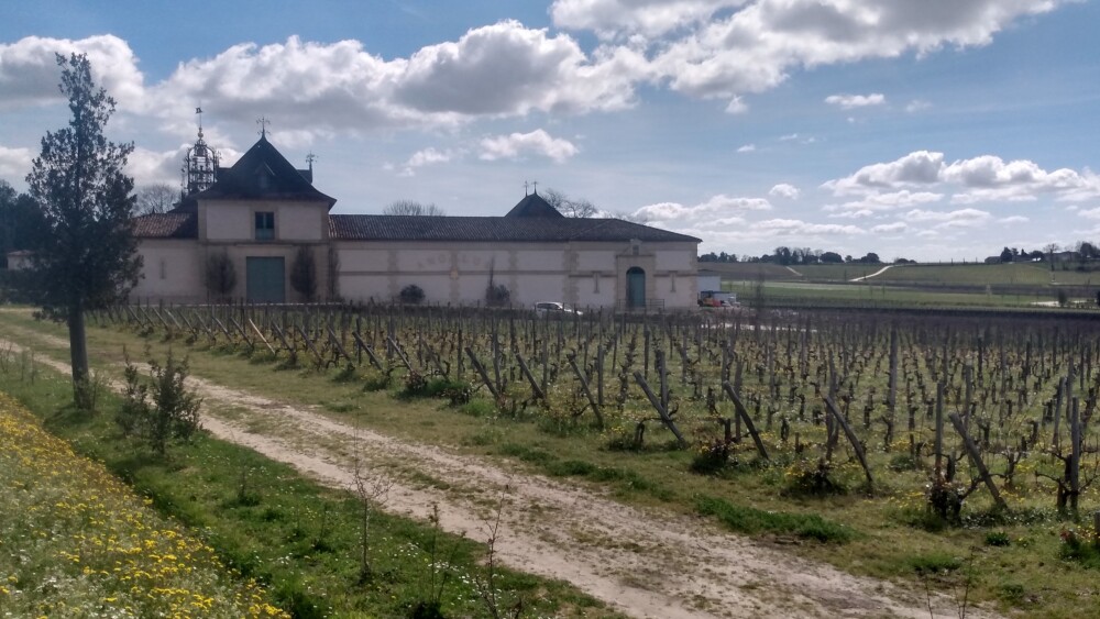 A l'entrée de Saint-Emilion, vous passerez par le vignoble du fameux Château Angélus.
