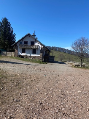 Molkenrain