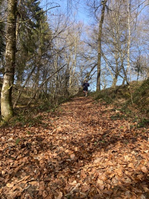 semi marathon des 3 communes