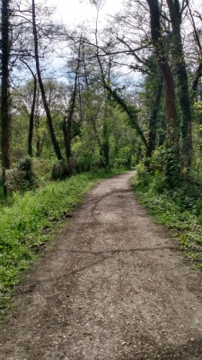 Le chemin que vous suivrez sur plusieurs kilomètres au bord de la jalle de l'Eau Bourde.
