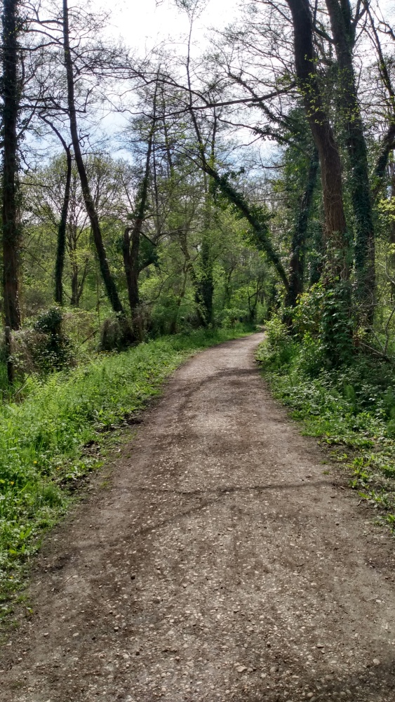 Le chemin que vous suivrez sur plusieurs kilomètres au bord de la jalle de l'Eau Bourde.