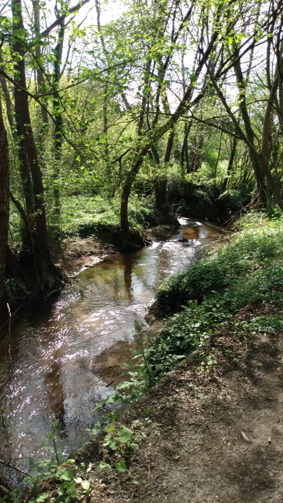 La jalle de l'Eau Bourde entre Cestas et Canéjan.