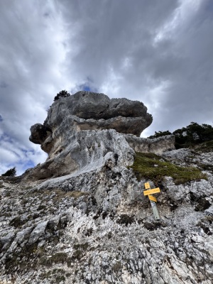 Photo prise liée au parcours