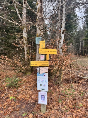 Photo prise liée au parcours