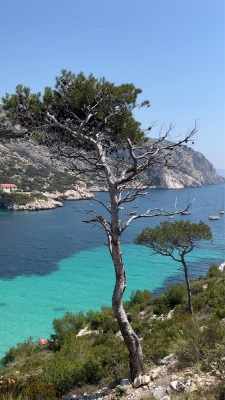 [Calanques] Sormiou et Morgiou via le cap Morgiou - Marseille - Photo 1