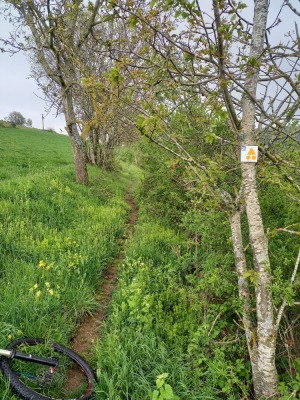 Circuit 20 De St Forgeux à Mazieu