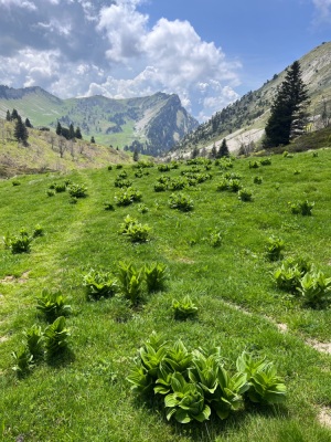 Photo prise liée au parcours
