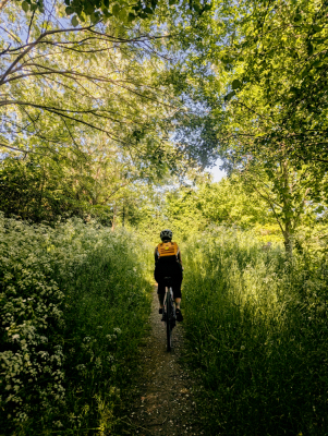 Balade dans le Marais Poitevin - Niort - Photo 3