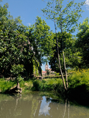Balade dans le Marais Poitevin - Niort - Photo 6