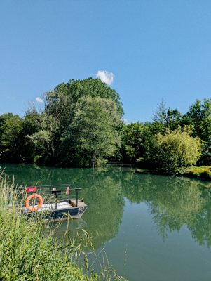 Balade dans le Marais Poitevin - Niort - Photo 8