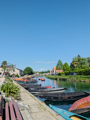 Balade dans le Marais Poitevin - Niort - Photo 9