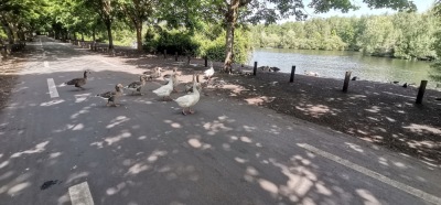 Photo prise liée au parcours