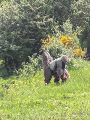 Photo prise liée au parcours