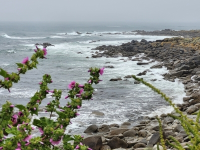 Photo prise liée au parcours