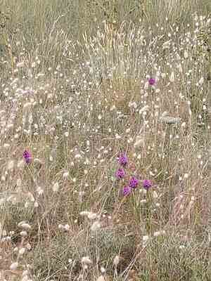 Photo prise liée au parcours