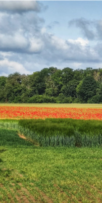 Photo prise liée au parcours