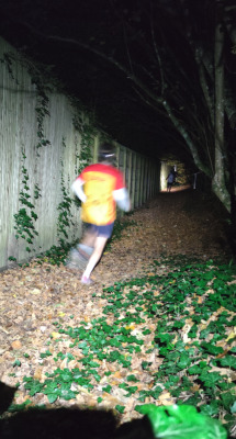 Photo prise liée au parcours