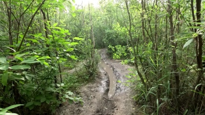 Photo prise liée au parcours