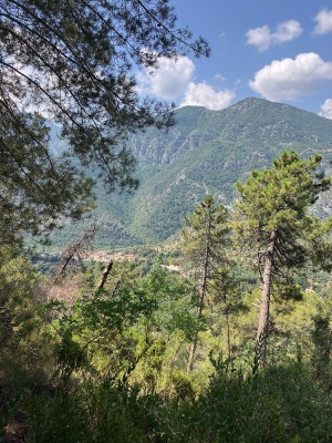 Brouis-Olivetta-Bassera-Piene haute-Bosc